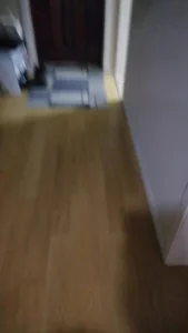 家庭随拍系列